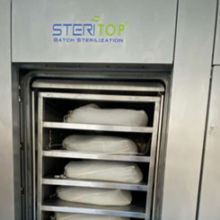 Batch sterilization unit